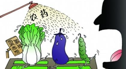 如何洗掉蔬菜上的农药 应该怎样处理掉蔬菜上的农药