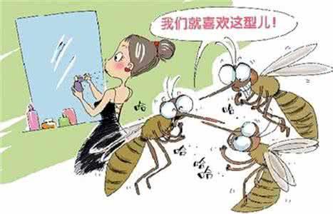 灭蚊子最有效的方法 怎样防堵灭杀蚊子入侵