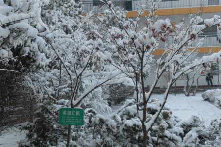 那年大雪 阅读答案 那年冬天好大雪阅读及答案