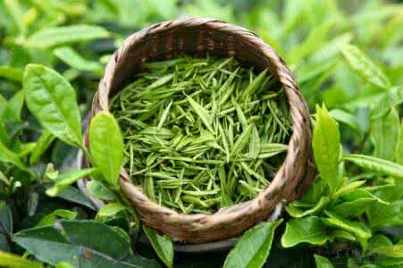 绿茶的功效与作用 绿茶都有哪些功效作用