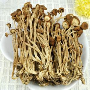 鲜茶树菇怎么处理 茶树菇怎么洗