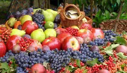 孕妇适合吃什么水果 中秋节吃什么水果 中秋节适合吃什么水果