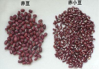 除湿用红豆还是赤小豆 红豆与赤小豆的区别
