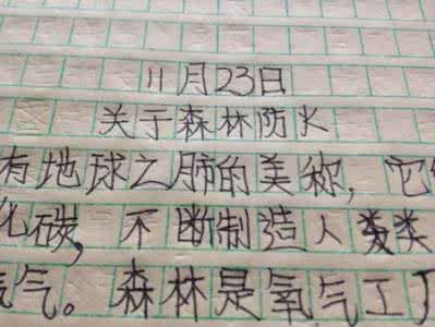 关于森林防火的征文 关于森林防火的作文