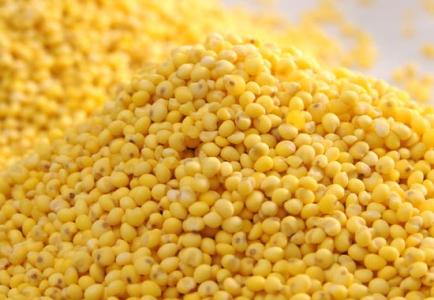 小米和黄米的营养价值 黄米的营养价值及功效