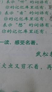 表示想的有哪些成语 表示想的词语有哪些