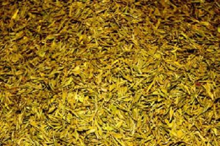 绿茶的品质特点 黄茶的品质特点