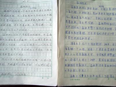 森林防火作文600字 防火知识作文600