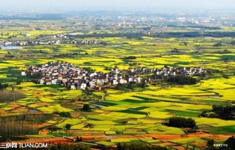 全国最美油菜花 全国最美的八个油菜花观赏地