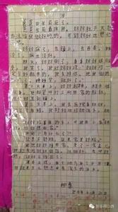 我做了一件家务事作文 做一件家务事作文300字