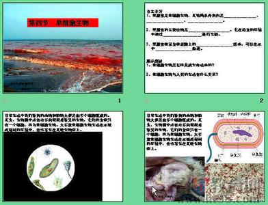 初中英语教学反思 初中单细胞生物教学反思2篇