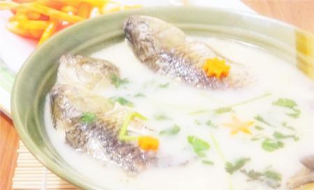 催奶的鲫鱼汤怎么做 催奶鱼汤的做法