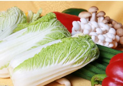 白菜的营养价值 5种好吃的白菜做法及营养价值