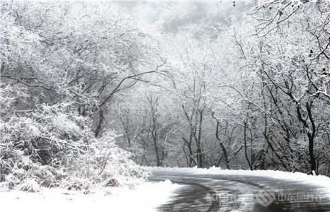 《第一场雪》原文 第一场雪