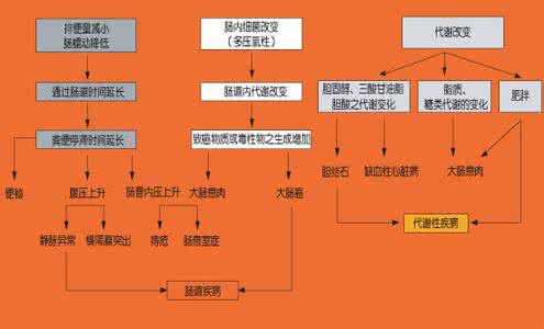 七大营养素的作用 七大营养素包括哪些_七大营养素介绍