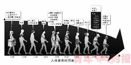 人体器官衰老时间表 人体各器官老化时间表