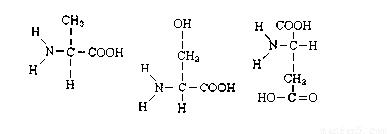 丙氨酸结构式 丙氨酸的性质及结构