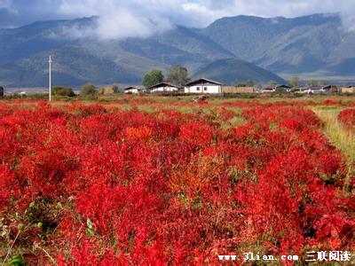 香格里拉旅游景点介绍 美丽的香格里拉旅游介绍