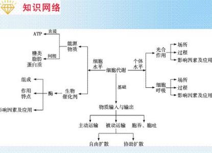 高考生物二轮复习方法