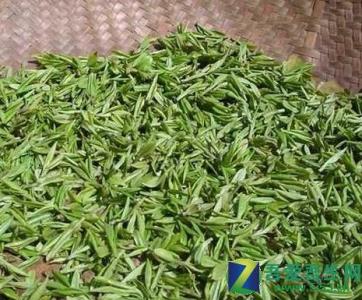 中国十大名茶功效 中国十大名茶介绍及功效