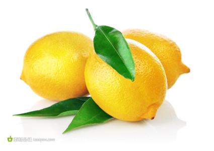 柠檬图片大全 柠檬的图片_有关柠檬的图片_柠檬图片大全
