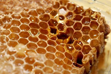 蜂巢蜜的作用与功效 蜂巢蜜的功效作用和相关介绍