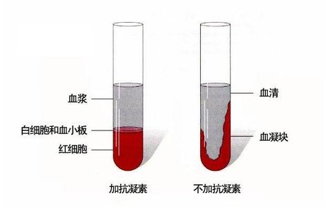 血浆和血清的主要区别 血浆和血清的区别