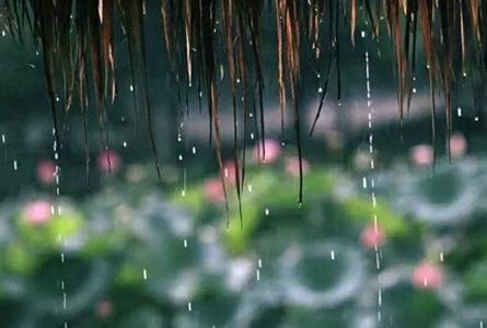 杭州2017梅雨季节时间 2017年什么时候入梅_2017年梅雨季节是哪天_什么时间是梅雨季节