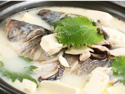 鱼头汤怎么做 清淡鱼头汤怎么做