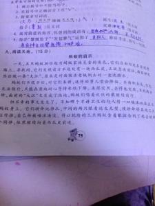 蚂蚁的习性阅读答案