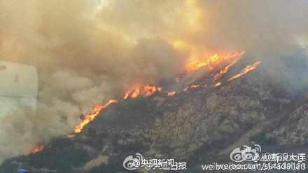 大连大黑山火灾 大连大黑山突发山火之如何预防森林火灾