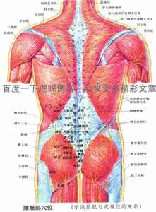 如何排除体内湿毒 排体内湿毒-奇穴