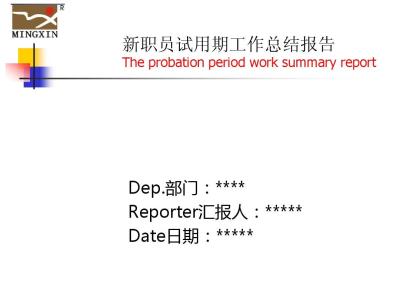 新职员工作总结 新职员试用期工作总结两篇