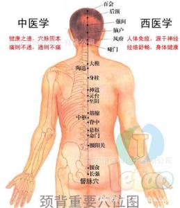 按摩器颈部腰部 颈部、背部、腰部受伤和意外的处理方法有哪些