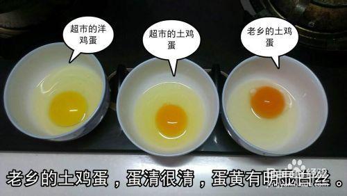 煮真假鸡蛋的区别图片 辨别真假鸡蛋的方法