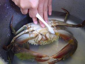 螃蟹怎么洗的干净 螃蟹要怎么洗