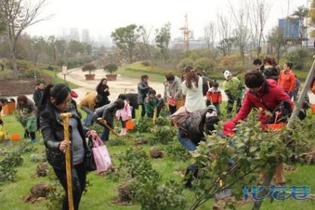 社区植树节活动方案 社区2014植树节活动方案