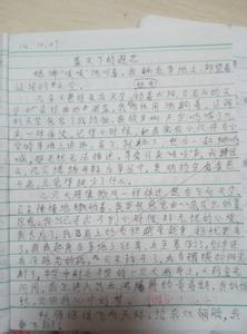 做家务的一篇作文 写一篇做家务的作文300字