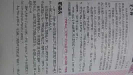 阅读感想 作文450字 关于家务活的感想作文450字