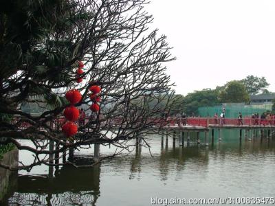 美丽的东山湖是 美丽的东山湖