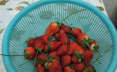 如何洗草莓能去除农药 草莓怎么洗去农药