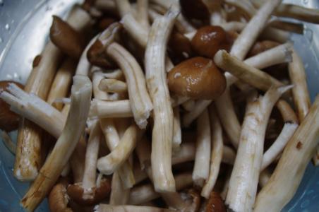 鲜茶树菇怎么处理 茶树菇怎么洗