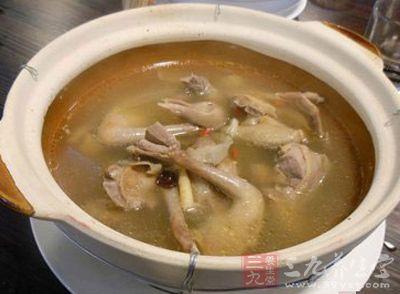 乳鸽汤的做法与功效 乳鸽怎么做_4款乳鸽汤的做法推荐