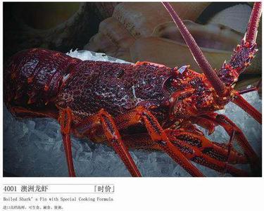 澳洲龙虾的做法 澳洲龙虾怎么做好吃 澳洲龙虾的4种做法步骤
