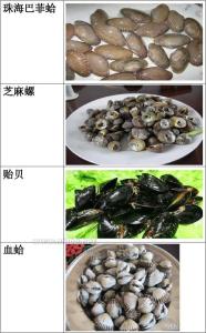 炒贝壳类海鲜的做法 贝壳怎么做才好吃 贝壳类海鲜的好吃做法步骤