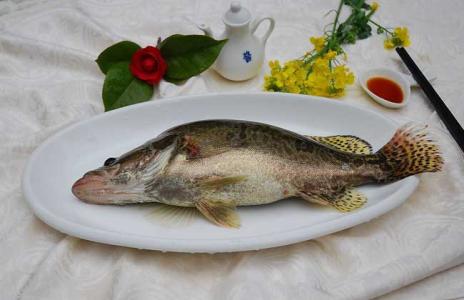 桂鱼烹饪方法 桂鱼的烹饪方法