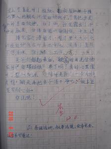 做家务后的感受300字 做家务的感受作文600字