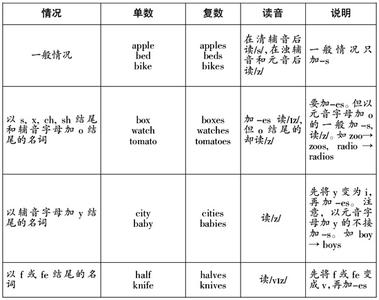 做一件家务事作文 记一件家务事200字