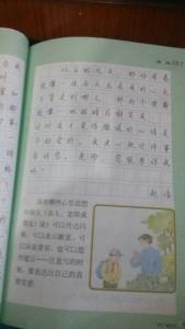 小学生作文300字精选 家务事作文300字精选