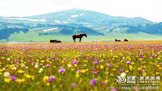 56月份适合去哪里旅游 6月份适合去哪里旅游